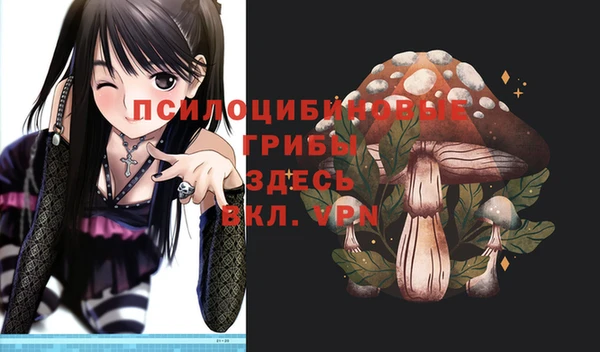 твердый Алзамай