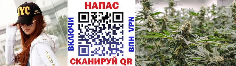 Конопля гибрид  ссылка на мегу ссылка  Морозовск 